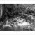 Jones Creek - Emu Plains - Large | Jones_Creek.jpg