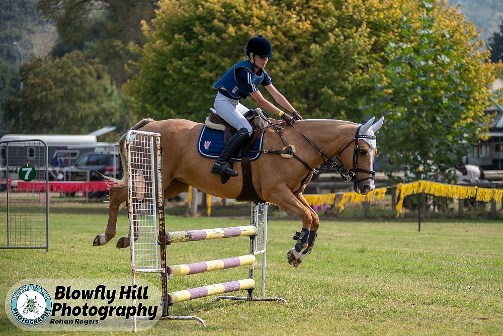 Buchan Pony Club - Easter 2024