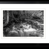 Jones Creek - Emu Plains - Large | A3_Jones_Creek_Black_Frame.png